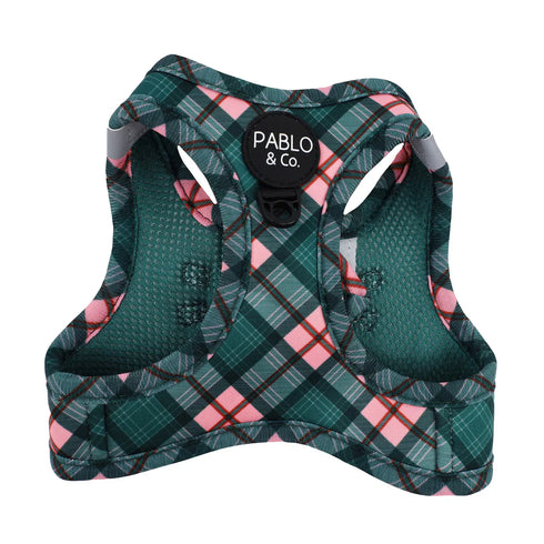 PABLO & CO. CAT STEP IN HARNESS