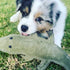 Outback Tails Steve The Croc Dog Toy
