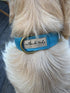 Outback Tails Waxed Canvas Dog Collar - Blue
