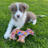 Outback Tails DESERT Dog Chew Toy - Ben (Sand Dunes)