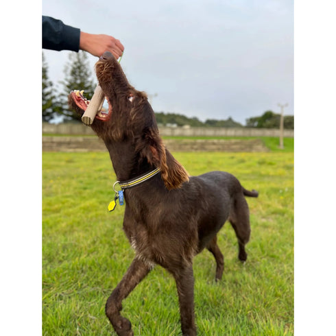 DOOG Stick Family New Twiggy Wife