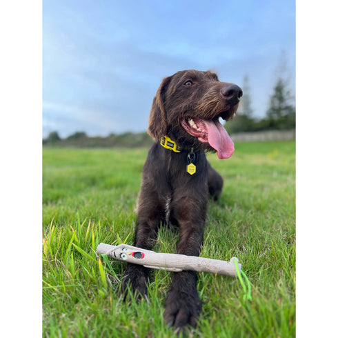 DOOG Stick Family New Twiggy Wife