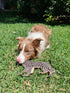 Outback Tails DESERT Dog Chew Toy