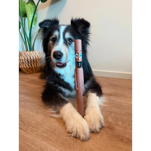 DOOG Stick Family New Woody Dog Toy