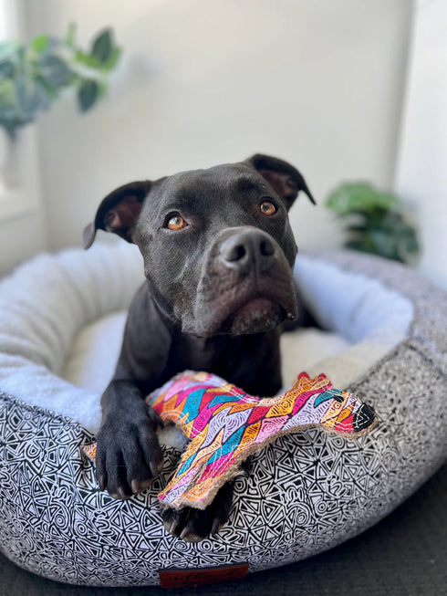 Outback Tails DESERT Dog Chew Toy - Ben (Sand Dunes)