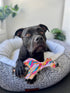 Outback Tails DESERT Dog Chew Toy - Ben (Sand Dunes)