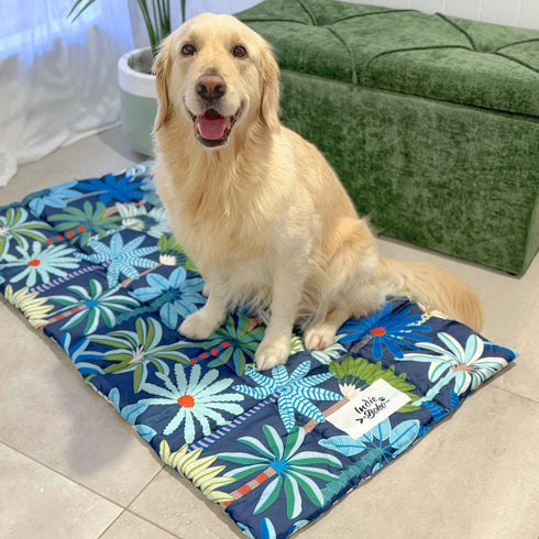 A happy golden retriever sits on a colorful, reversible travel mat featuring a bold coastal print with blue, green, and orange patterns. Behind the dog, theres a green upholstered bench, and natural light filters through a nearby window.