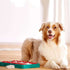 Nina Ottosson Brick Blue Dog Puzzle