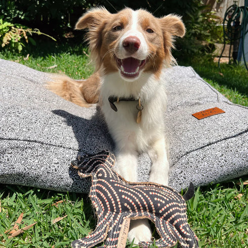 Outback Tails DESERT Dog Chew Toy