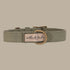 Outback Tails Waxed Canvas Dog Collar - Green