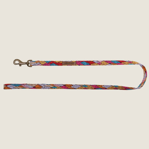 Outback Tails SAND DUNES Canvas Lead
