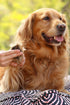 Outback Tails Paw & Skin Repair