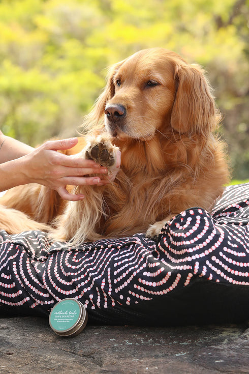 Outback Tails Paw & Skin Repair