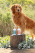 Outback Tails Natural Dog Conditioner