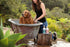 Outback Tails Natural Dog Wash Shampoo