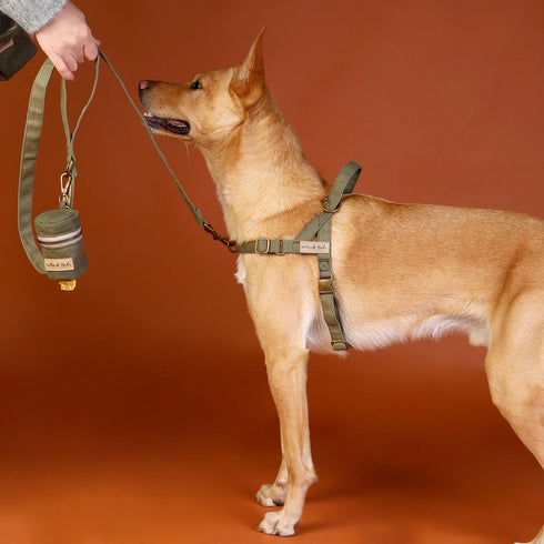 Outback Tails Waxed Canvas Pick-Up Bag Holder - Green