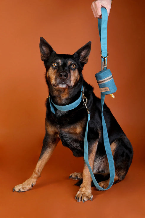 Outback Tails Waxed Canvas Dog Lead - Blue