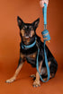 Outback Tails Waxed Canvas Dog Lead - Blue