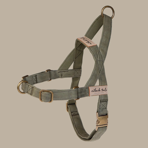Outback Tails Waxed Canvas Dog Harness - Green
