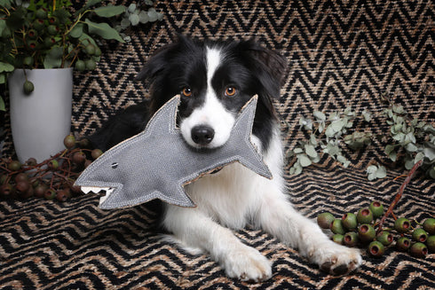 Outback Tails SHAZZA The Shark Dog Toy