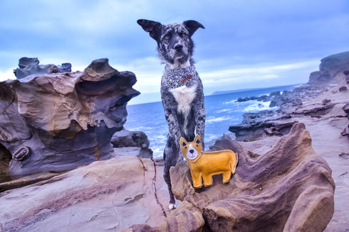 Outback Tails DARREN THE DINGO Dog Toy