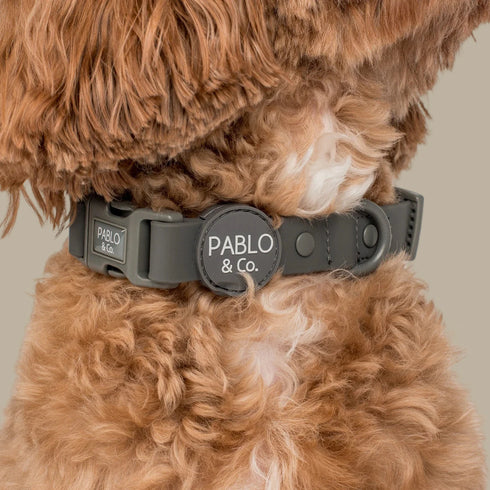 Pablo & Co. CHARCOAL Waterproof Dog Collar