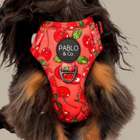 Pablo & Co. CHERRY Adjustable Dog Harness
