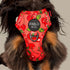 Pablo & Co. CHERRY Adjustable Dog Harness