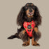 Pablo & Co. CHERRY Adjustable Dog Harness