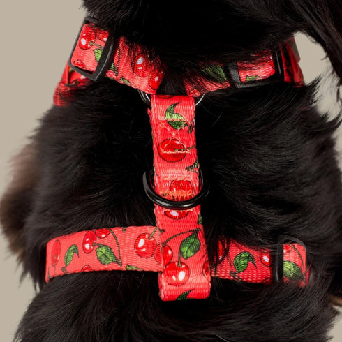 Pablo & Co. CHERRY Adjustable Dog Harness
