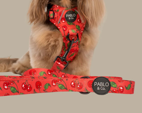 Pablo & Co. CHERRY Dog Leash