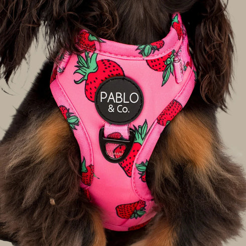 Pablo & Co. STRAWBERRIES Adjustable Dog Harness