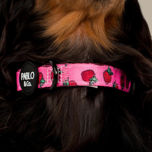 Pablo & Co. STRAWBERRIES Collar