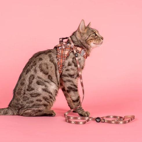 PABLO & CO. CAT STEP IN HARNESS
