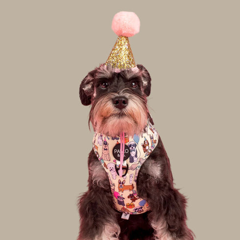 Pablo & Co. PARTY DAWGS Adjustable Dog Harness