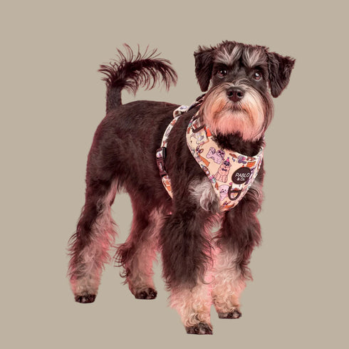 Pablo & Co. PARTY DAWGS Adjustable Dog Harness