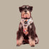 Pablo & Co. PARTY DAWGS Adjustable Dog Harness
