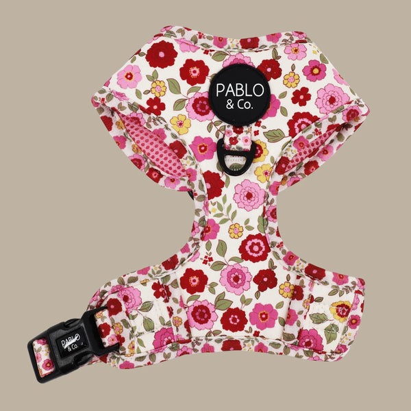 Pablo & Co. PRIMROSE Adjustable Dog Harness