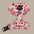 Pablo & Co. PRIMROSE Adjustable Dog Harness
