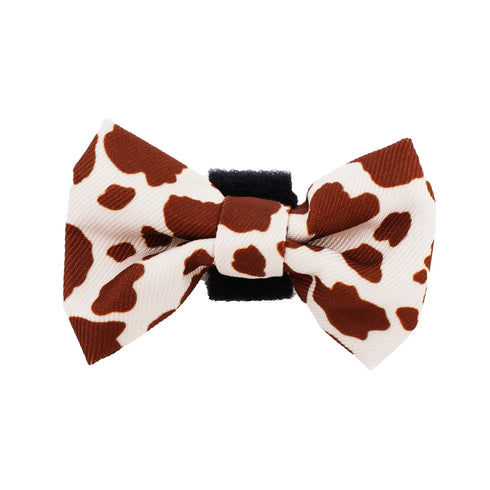 PABLO & CO. CAT BOW TIE