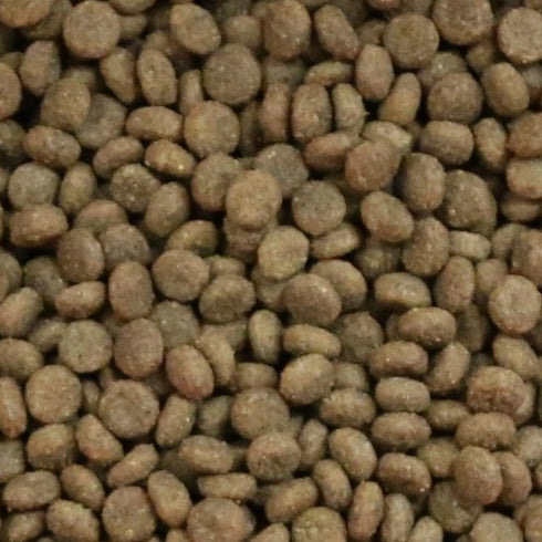 Vetalogica FISHERMAN'S FEAST Biologically Appropriate CAT Food