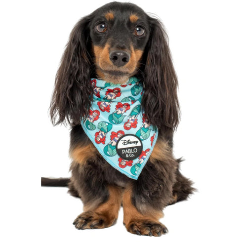 PABLO & CO. DISNEY BANDANA