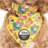 PABLO & CO. DISNEY BANDANA