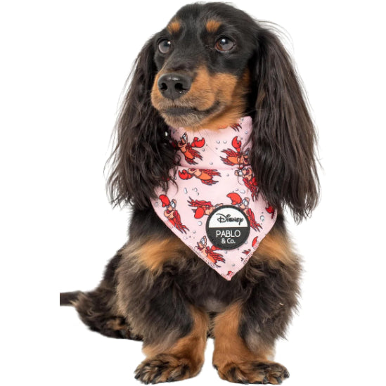 PABLO & CO. DISNEY BANDANA
