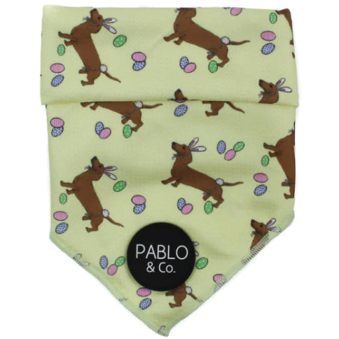 PABLO & CO. BANDANA