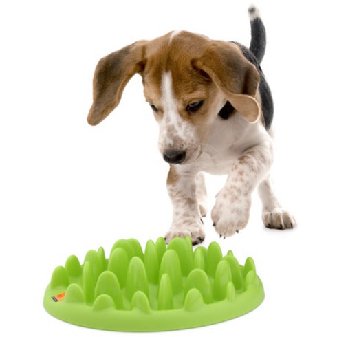 NORTHMATE INTERACTIVE FEEDER