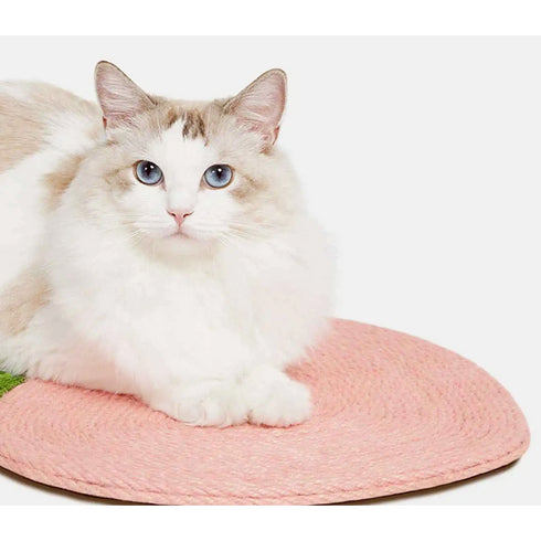 VETRESKA SCRATCHING BOARD