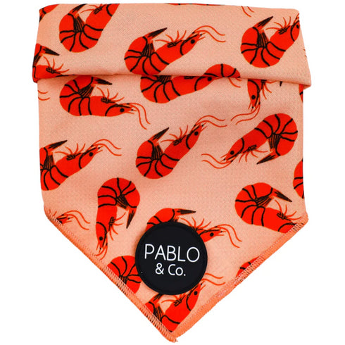 PABLO & CO. BANDANA