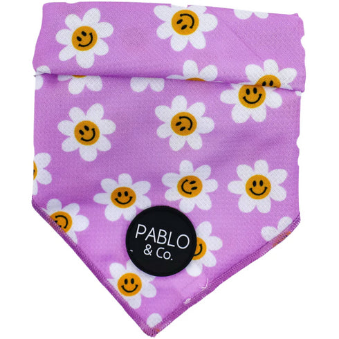 PABLO & CO. BANDANA