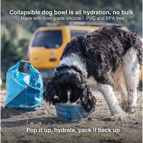 KURGO MASH N' STASH COLLAPSIBLE BOWL